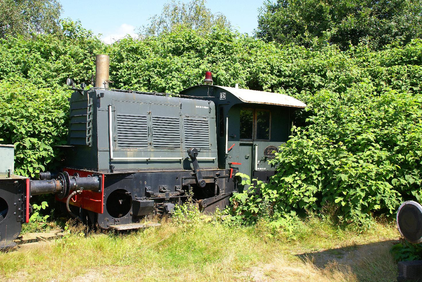 Dichte Japanse duizendknoop rond een locomotief bij station Beekbergen in 2007